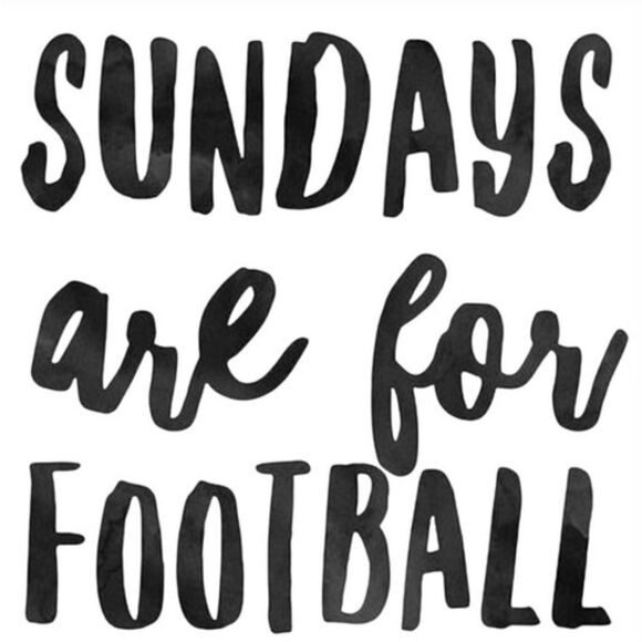 Women's NFL Carolina Panthers Football Space Dye Top • Medium • NWT - Picture 3 of 9